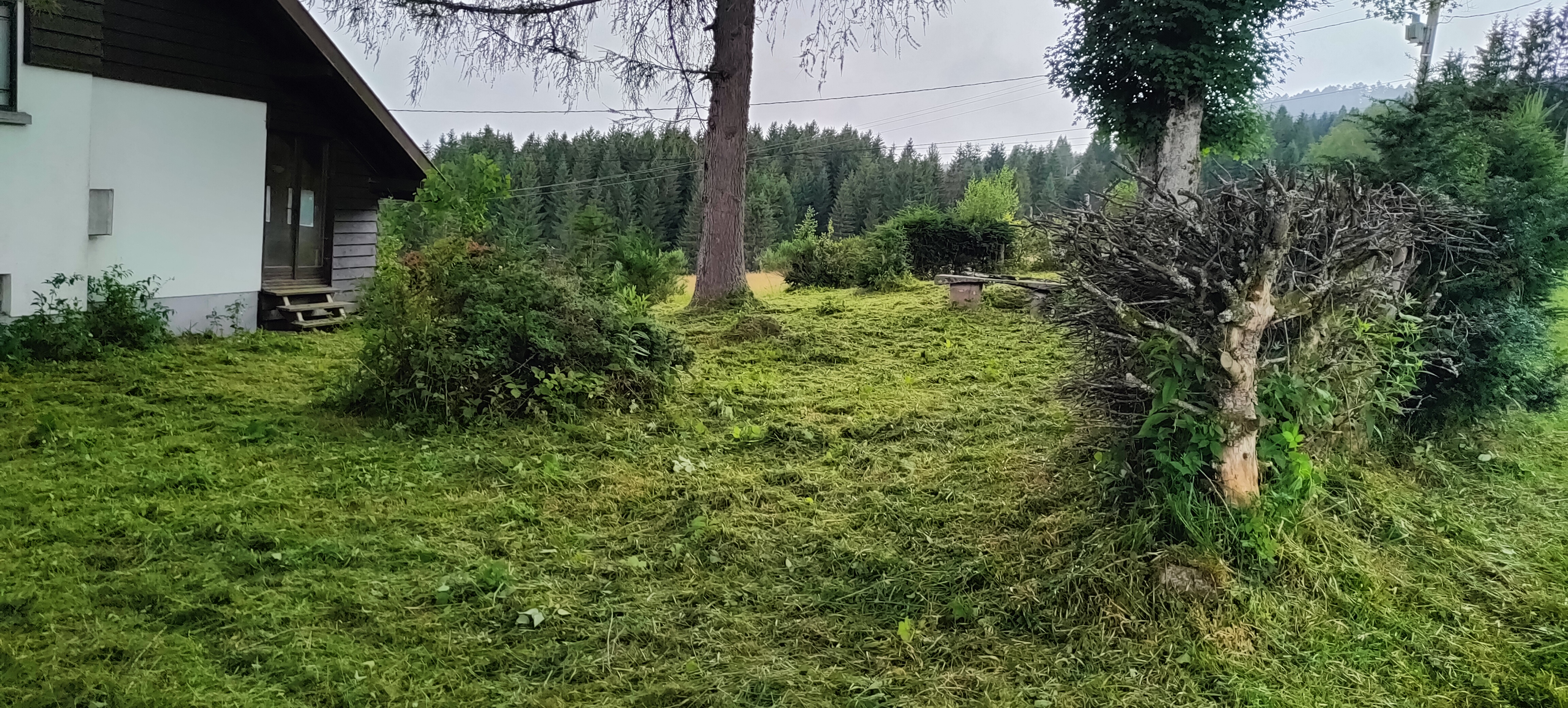terrain tondu